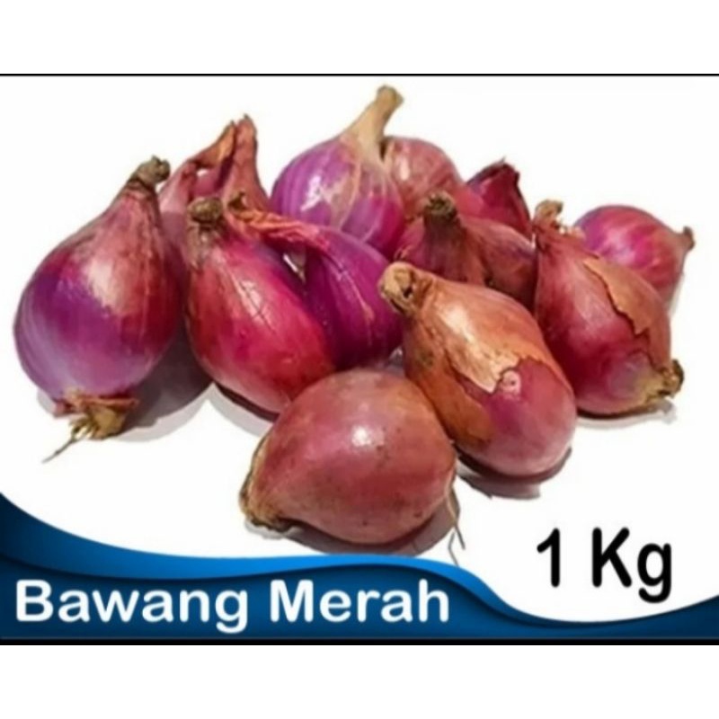 

Bawang Merah Kulit Brebes 1kg