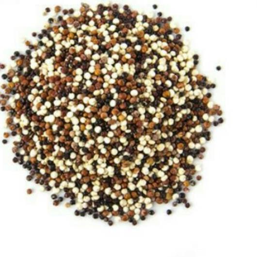 

READY ✅Organic Tri color Quinoa - 100 Gr|RA9