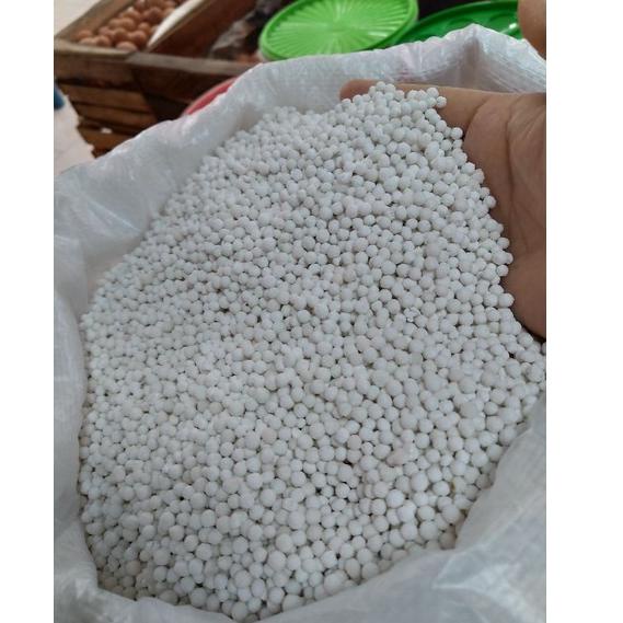 

[H-H1H] »] Sagu Mutiara Putih Super/ Biji Mutiara Putih Super 250 gr-berkualitas