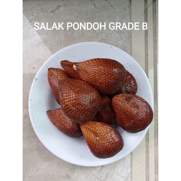 SALAK PONDOH ASLI SLEMAN