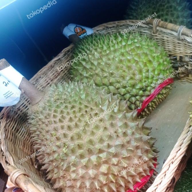 Durian Musang king utuh fresh durian terbaik malaysia 2 kg
