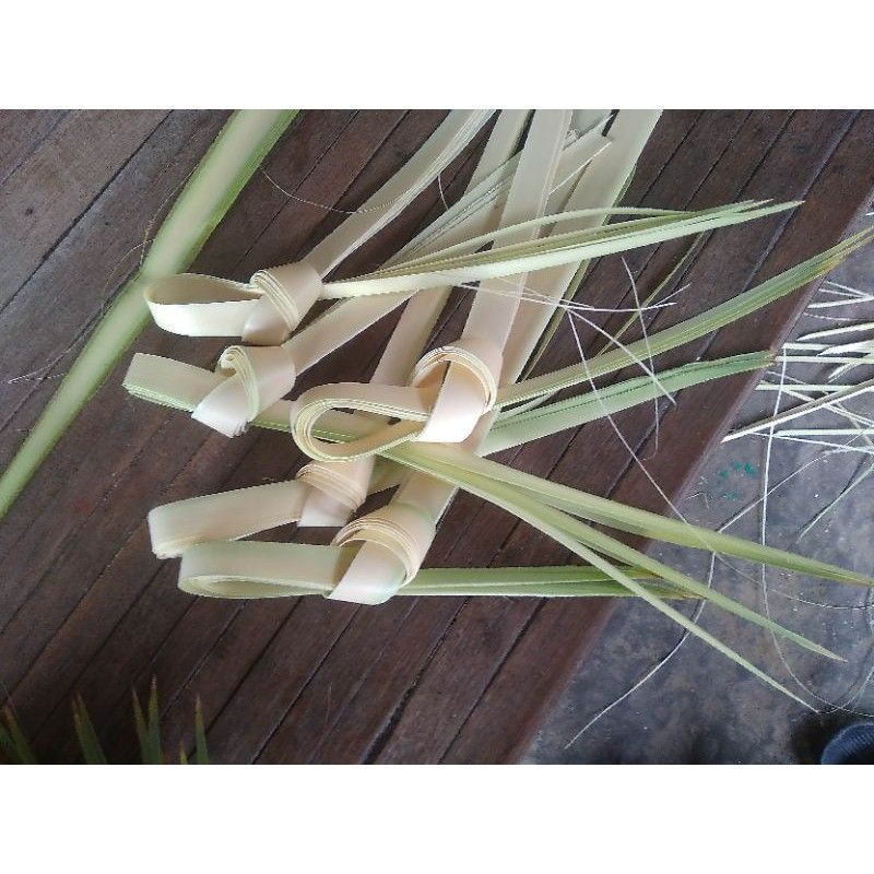 

daun lontar / Bogor per helai