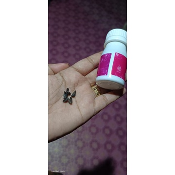 Herbal 3M Ratu Arab