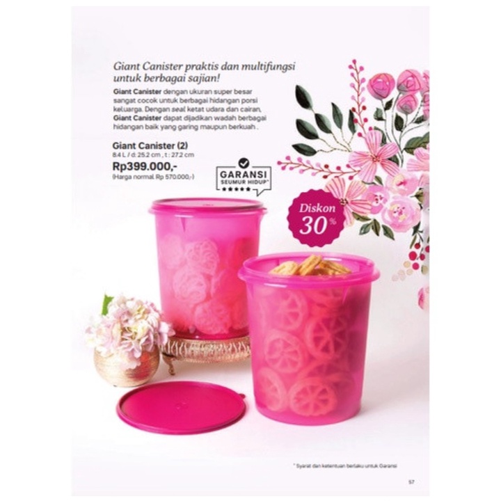 Tupperware - Giant Canister 8,4L (1)