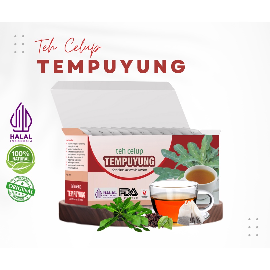 

Tazakka Teh Daun Tempuyung Kering Minuman Kesehatan Herbal Mencegah hipertensi darah tinggi Isi 20 Kantung Obat Batu Ginjal Empedu Infeksi Halal BPOM