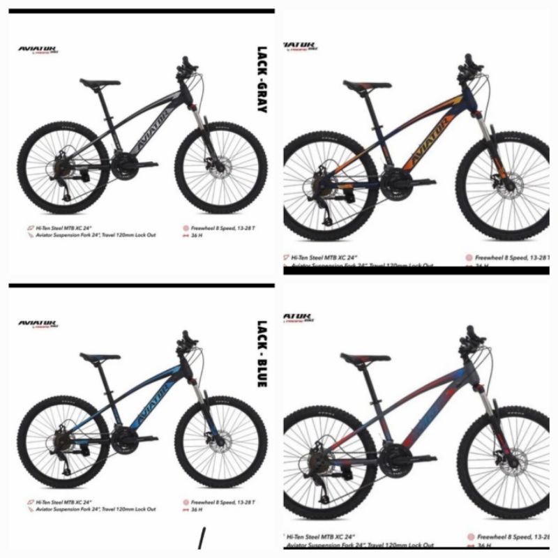 Sepeda Mtb 24 Pasific exotic aviator 2690 xt