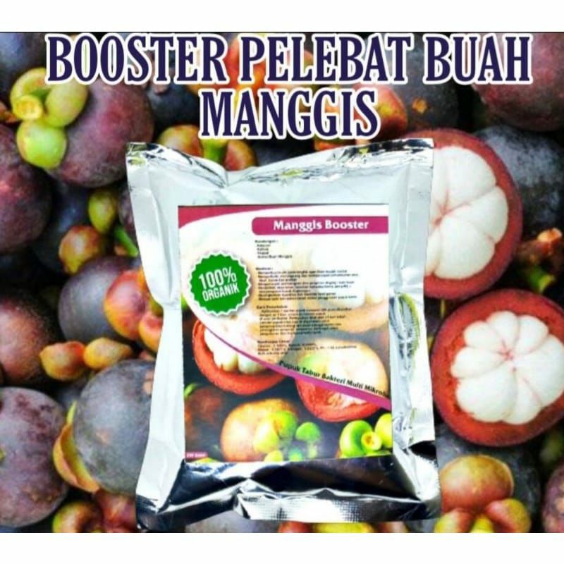 Pupuk Organik Pelebat Buah Dan Booster Manggis Cepat Berbuah Lebat