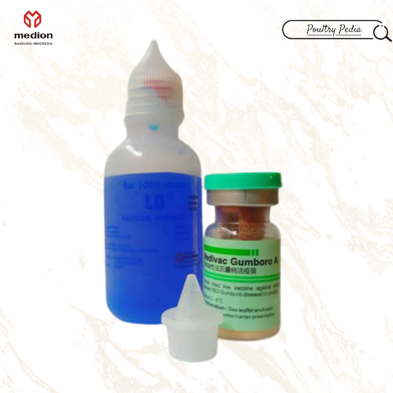 Vaksin Medivac Gumboro A Dosis 1000 Ekor Untuk Ayam Umur 7 - 30 Hari Vaksin Anti Penyakit Gumboro