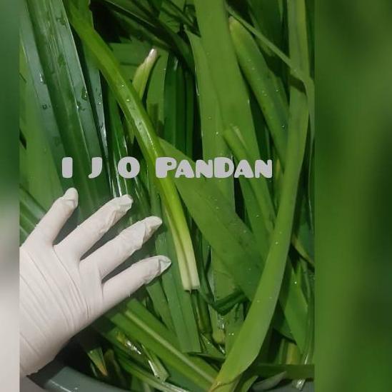 

limited STOCK!SARI PANDAN (Endapan)|SQ6