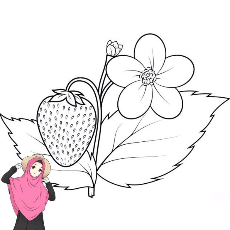 

BISA COD Gambar Mewarnai Buah Stroberi & Desain untuk melatih kecerdasan Anak-Anak