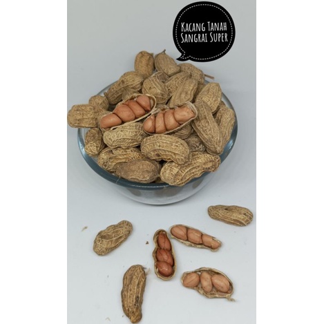 

Kacang tanah Kulit Sangrai/ ongseng Super 250g, 500g, 1kg