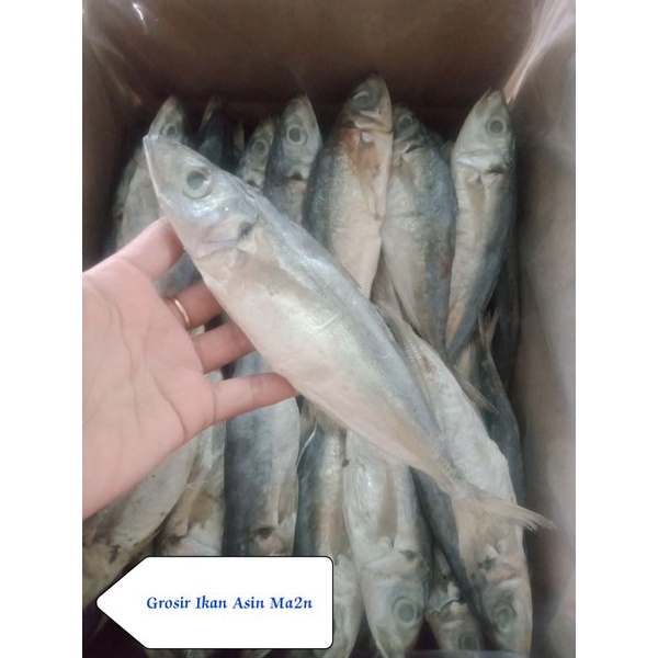 

ikan asin Peda super 250gr murah