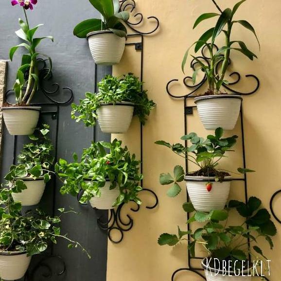 (S-W-T☎) Standing Pot Dinding ANGGREK+BONUS POT D15 / Rak Pot Bunga Tempel Dinding Minimalis Murah l