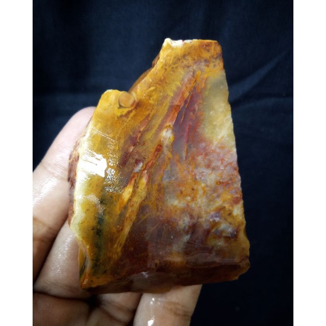 Rough Bahan Fosil Kelor Merah