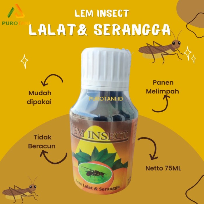 Lem perangkap lalat buah kutu lem perekat lalat Trap lalat buah cabe