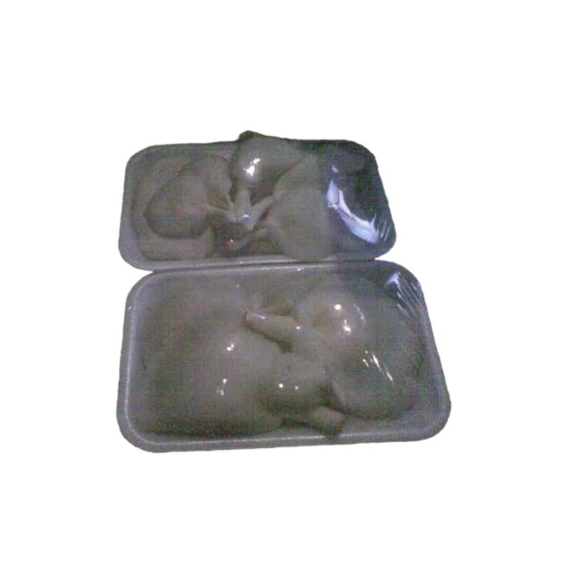 

jamur tiram putih