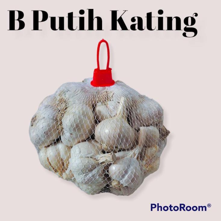 

BIG DISKON Bawang putih Kating 1kg ✦ 872