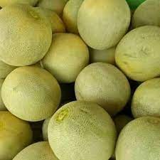 BUAH MELON | MELON MADU | MELON MANIS DAN SEGAR (KHUSUS SAMEDAY DAN INSTAN)