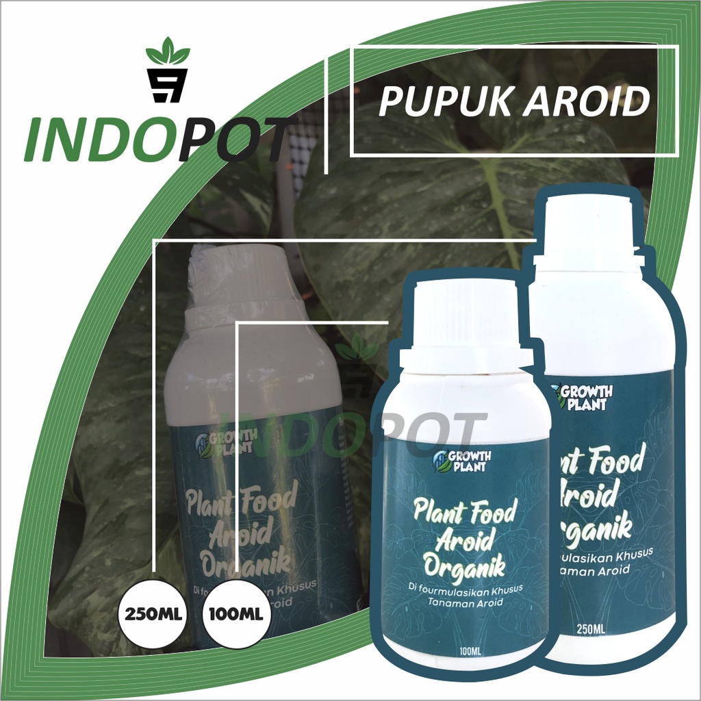 Pupuk Tanaman Aroid Booster Pupuk Mempercepat Pertumbuhan Tanaman Aroid
