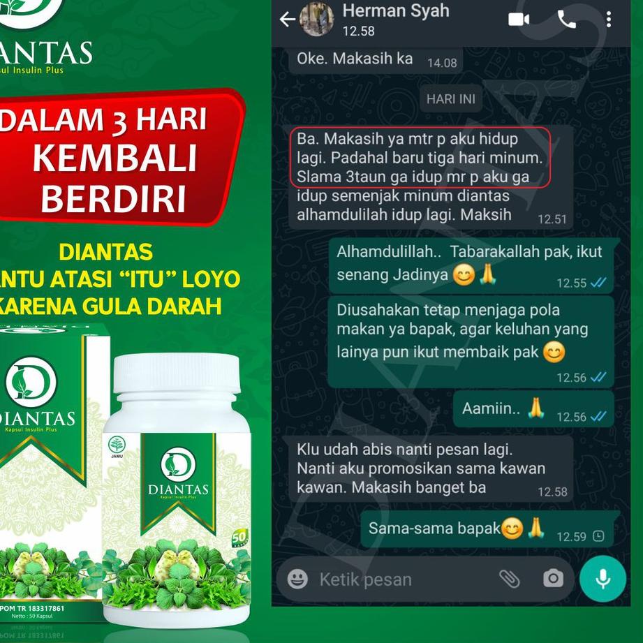 

BISA COD ✔️ORIGINAL DIANTAS !!! OBAT HERBAL DIABETES / KAPSUL INSULIN PLUS / PENURUN GULA DARAH / SUDAH BPOM|SQ9