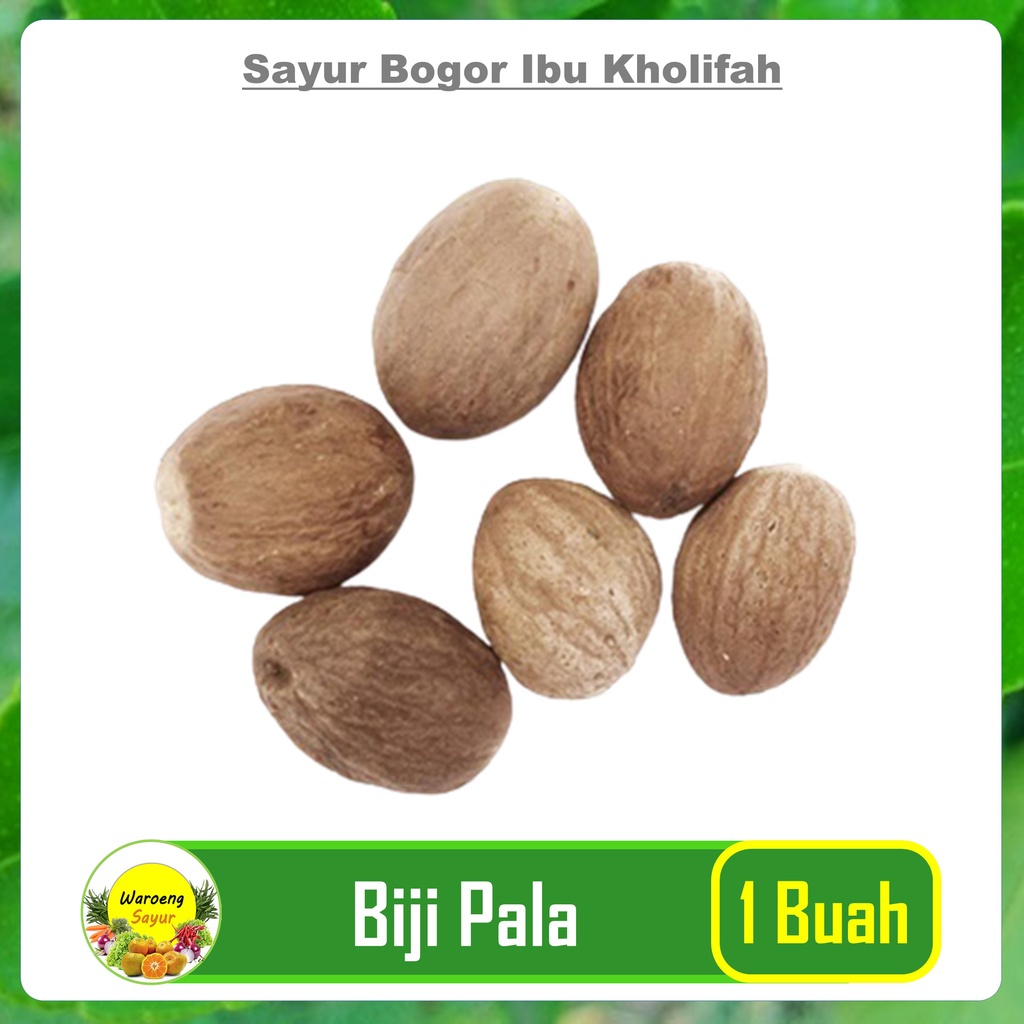 

Biji Pala 1 Buah Rempah Bumbu Masakan Sayur segar Bogor