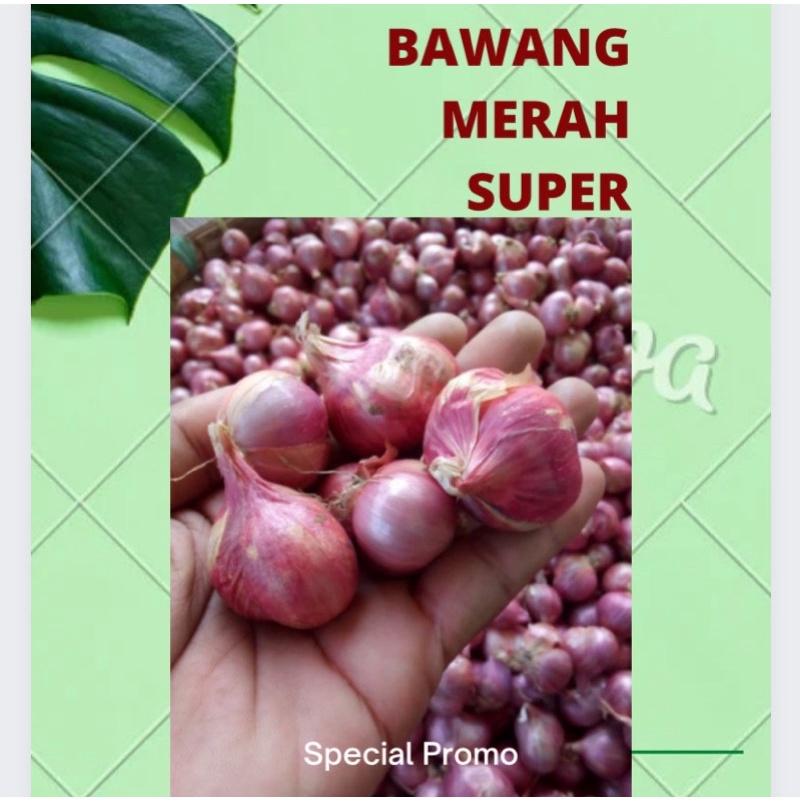 

BAWANG MERAH SUPER 250gr pilihan