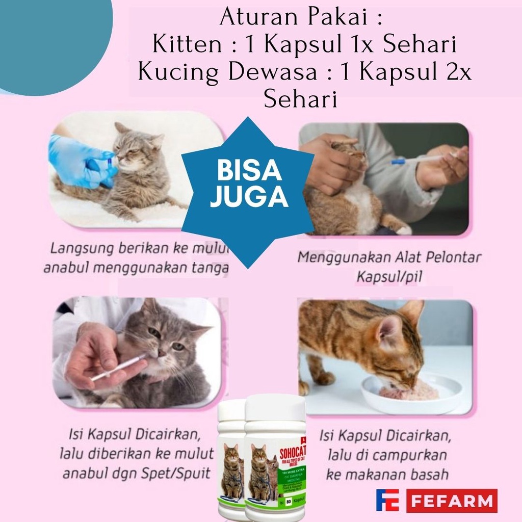 Obat Mencret Kucing / Obat Diare Kucing Mengatasi Diare FEFARM