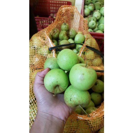 

Apel Manalagi kecil / cherry kota Batu 1 kg isi 20-25 buah spek super garansi