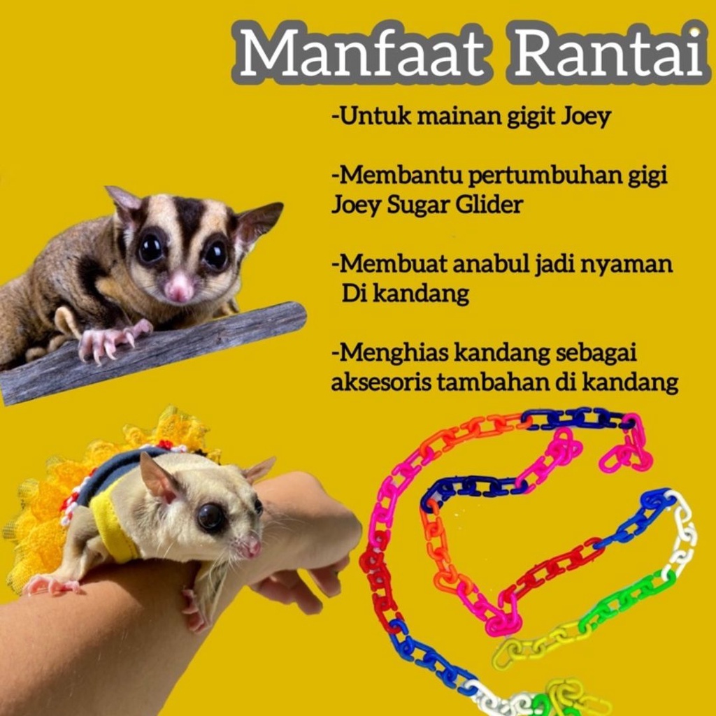 COLORFUL CHAIN Rantai Mainan / Meronce Rantai/ Mainan Sugar Glider Rantai Oval Penghias Kandang FEZONE