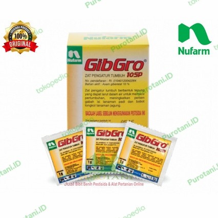 Gibgro 10sp ZPT GA3 Memperkecil Biji Kelengkeng