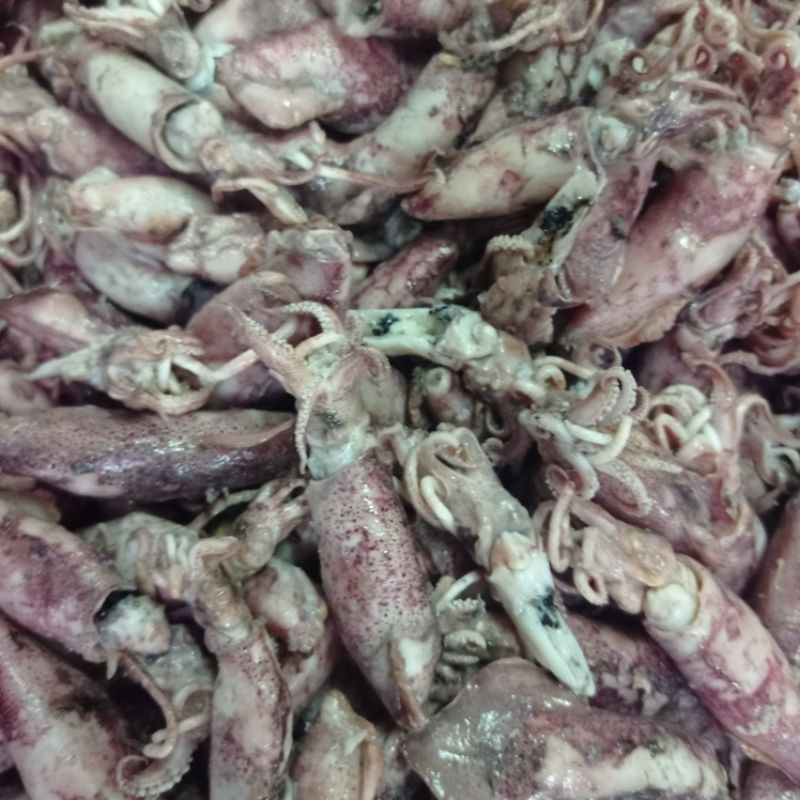 

cumi asin jumbo 250gr
