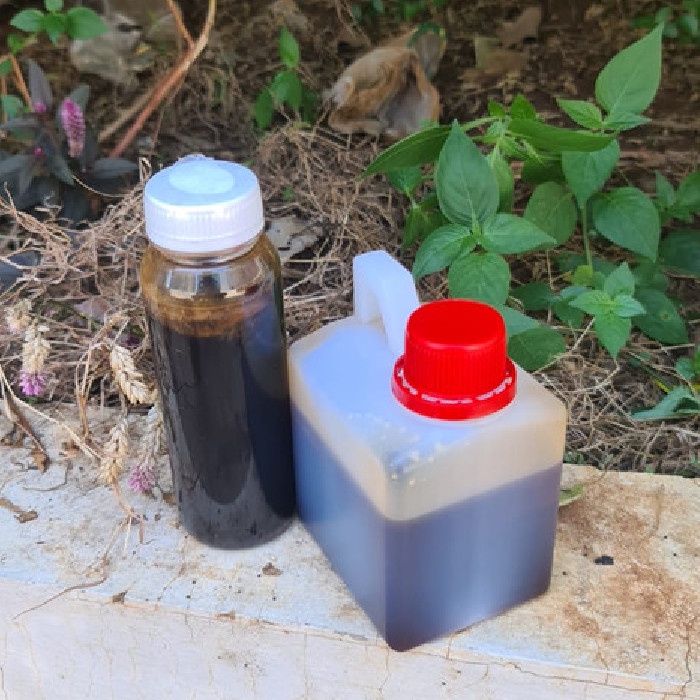 

Madu Hitam Pahit Mk 500g