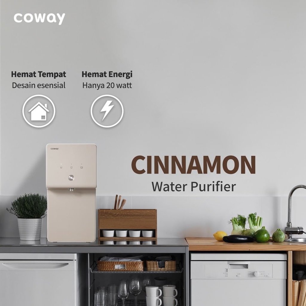 Water Purifier Coway Cinnamon P-6320R