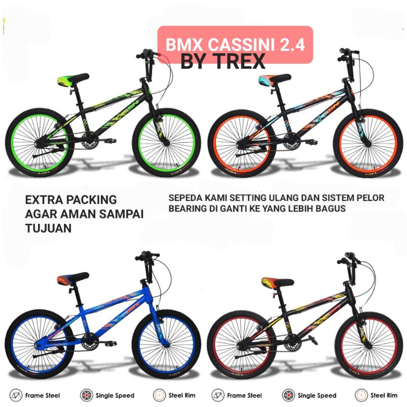 SEPEDA BMX TERRA 2.4 CASSINI BY TREX