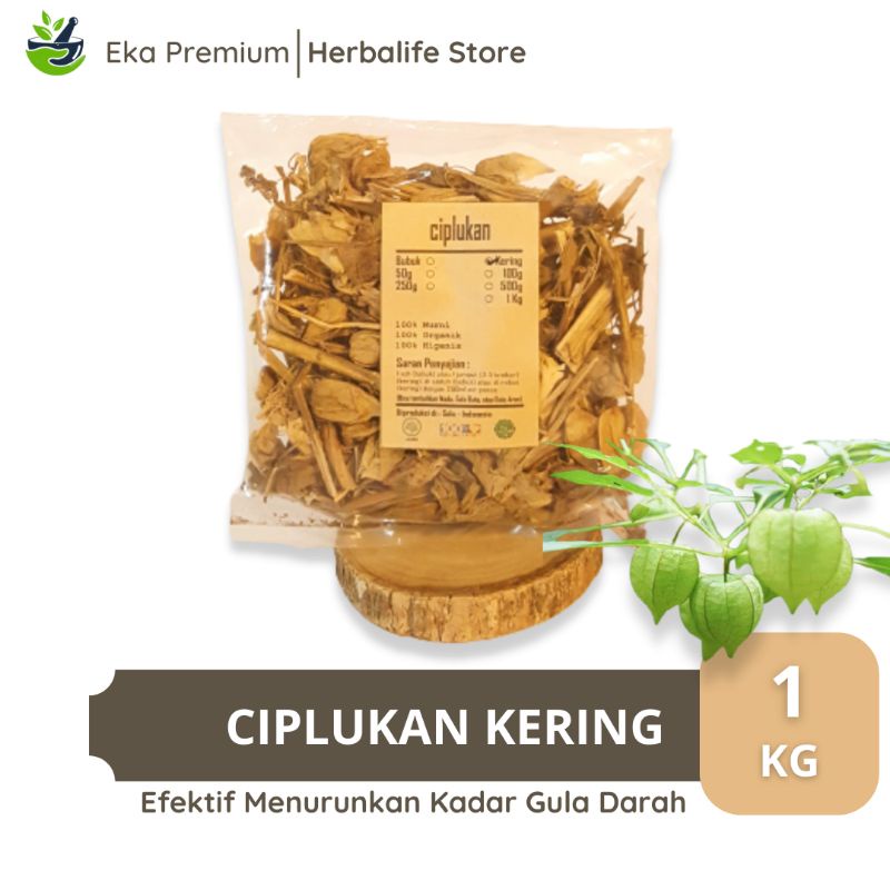 

Daun Ciplukan Kering 1 KG Asli Murni Organik Ramuan Buah Herbal Jamu Tradisional Obat Diabetes Gula Darah Stroke Ayan Epilepsi Rematik Asam Urat 1000 Gram