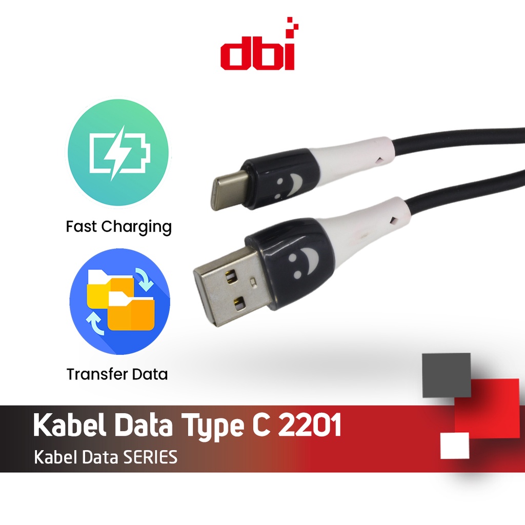 Kabel Data TYPE C 100CM F/C 2201