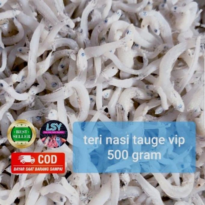 

Terbaik Ikan asin tn tauge vip/teri nasi size jumbo 500gr buruan