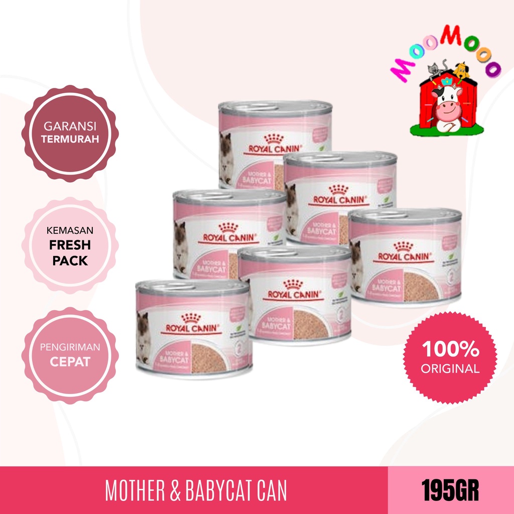 Royal Canin Baby Cat 195gr Kaleng - Makanan Kucing