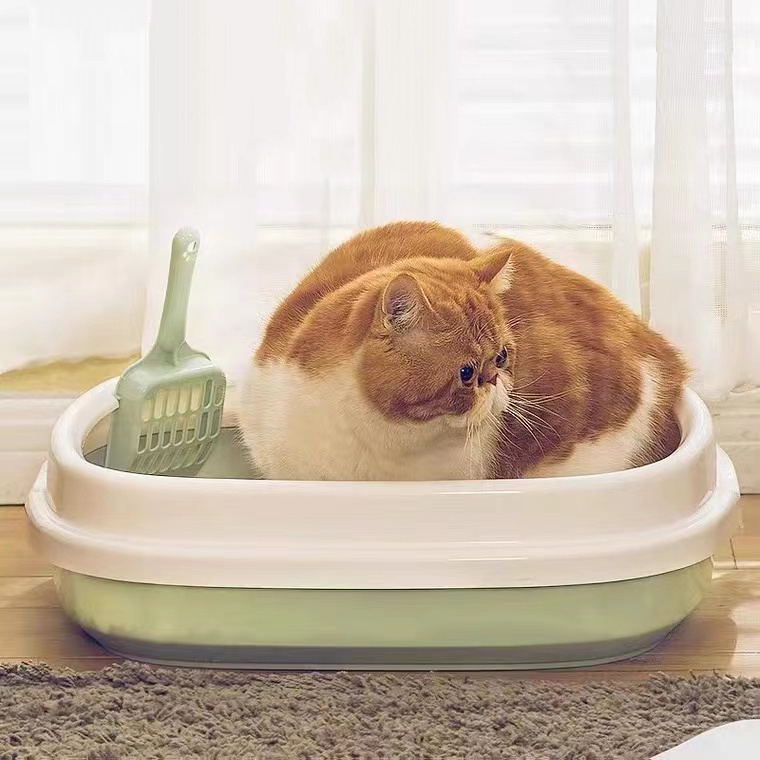 Bak Pasir Kucing Cat Litter Box Bak Pasir Kucing Jumbo Tempat Pup Kucing Tempat Berak Kucing