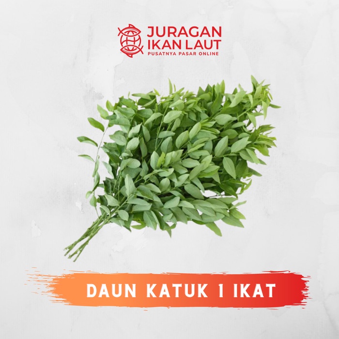 

Daun Katuk Segar Berkualitas - 1 Ikat