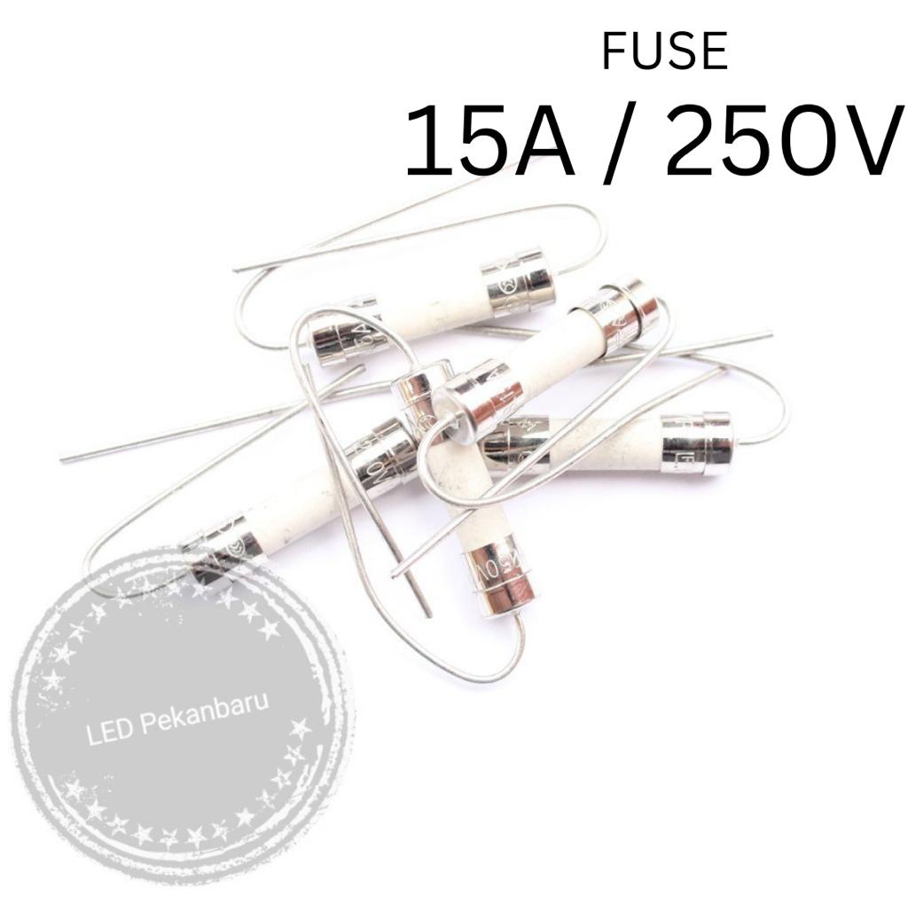 FUSE 15A 250V 15 A KERAMIK KAKI SOLDER SEKRING 15AMPERE AXIAL TIMBAL