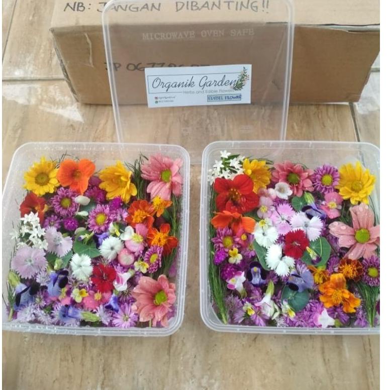 

TREND TERKINI Mix edible flower ✦ 879
