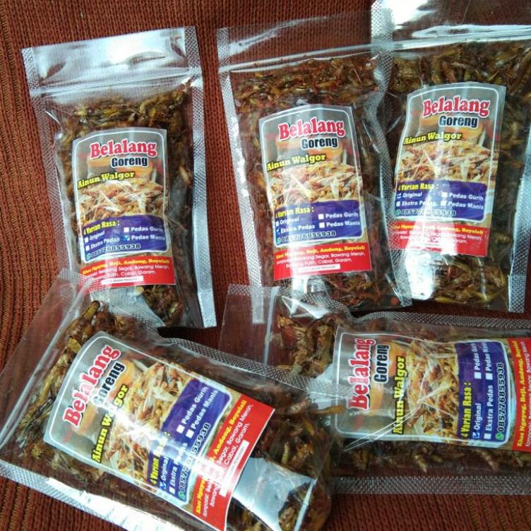 

(Q-P9P(♥☞) ⭐⭐⭐⭐⭐ COD / BELALANG GORENG/WALANG GORENG BESAR BEST SELLER pasti dikirim