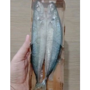 

Ikan cuek keranjang
