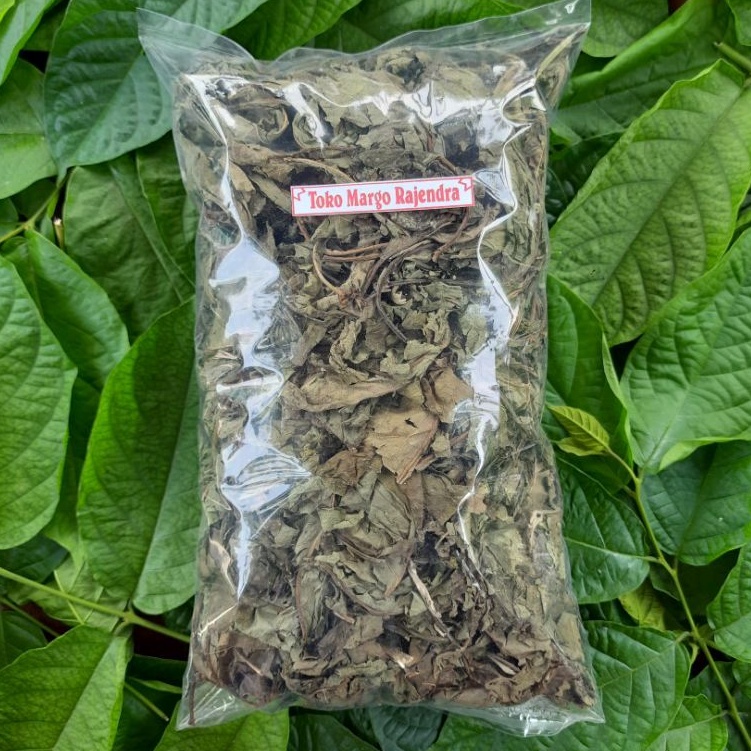 

Daun afrika Kering 250 Gram