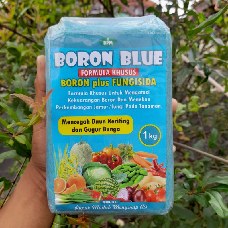 BORON BLUE 1 KG / FORMULA KHUSUS/ BORON plus FUNGISIDA/ untuk mencegah daun keriting dan gugur bunga