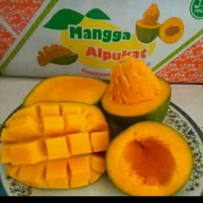 

Buah mangga alpokat fresh manis 1 kg buah