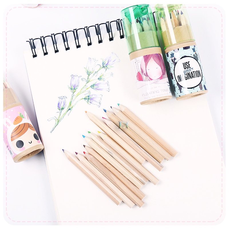 LNR Shop 12pcs/Set Pensil Warna Dilengkapi Peraut di Bagian Penutup Bentuk Tabung Mini Ramah Lingkungan Perlengkapan Sekolah Pensil Mewarnai Tidak Mudah Patah Tahan Lama Krayon Kuas Pen Pulpen Balpoin Crayon Alat Tulis Kotak Pensil