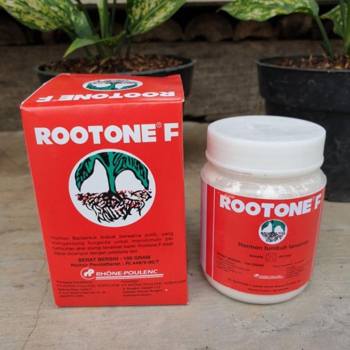 Rootone F / Root-B 100Gr Hormon Penumbuh Akar