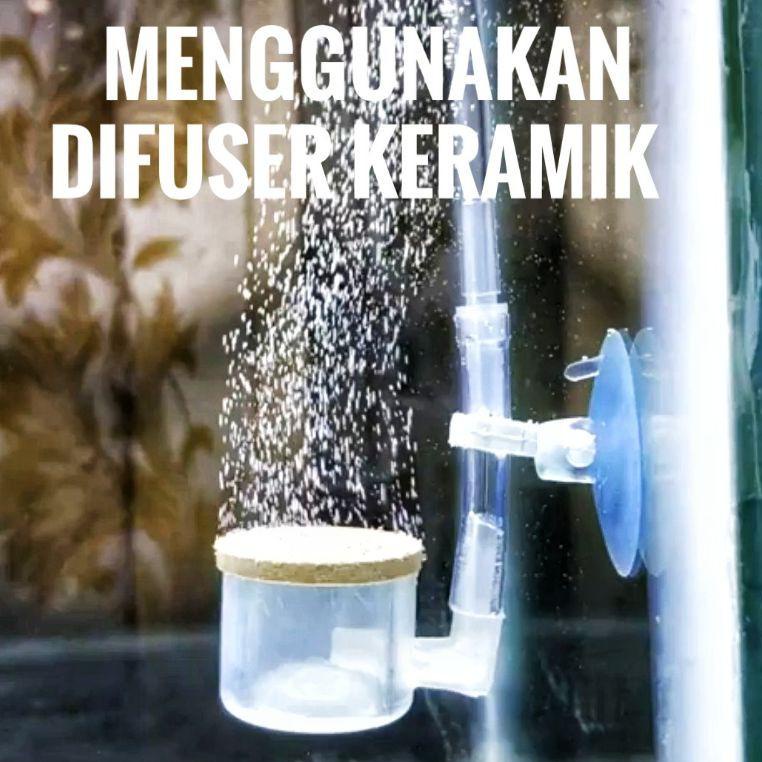 ㄷ CO2 AQUASCAPE | C02 CISOD DIY AQUASCAPE | CO2 SIAP PAKAI FULL SET | BOTOL BULAT 500 ml ⇊